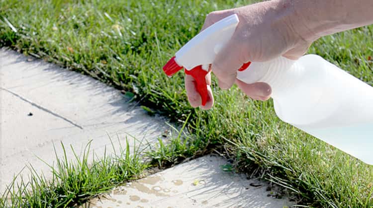 person's right hand with finger on pump of white spray bottle