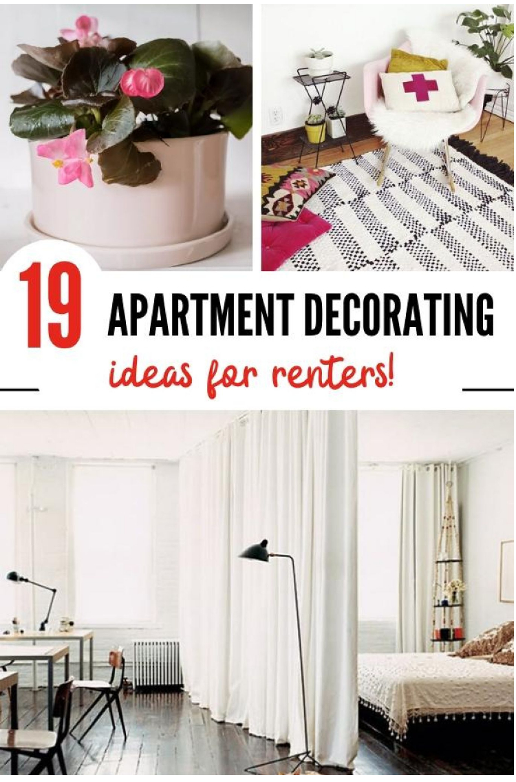 collage of apartment decorating ideas. A picture of a divider in a studio creating Bedroom and creating a living room.  A picture of a plant adding color to a space. A picture of a floor rug next to a bed adding diversity of texture to the decor.