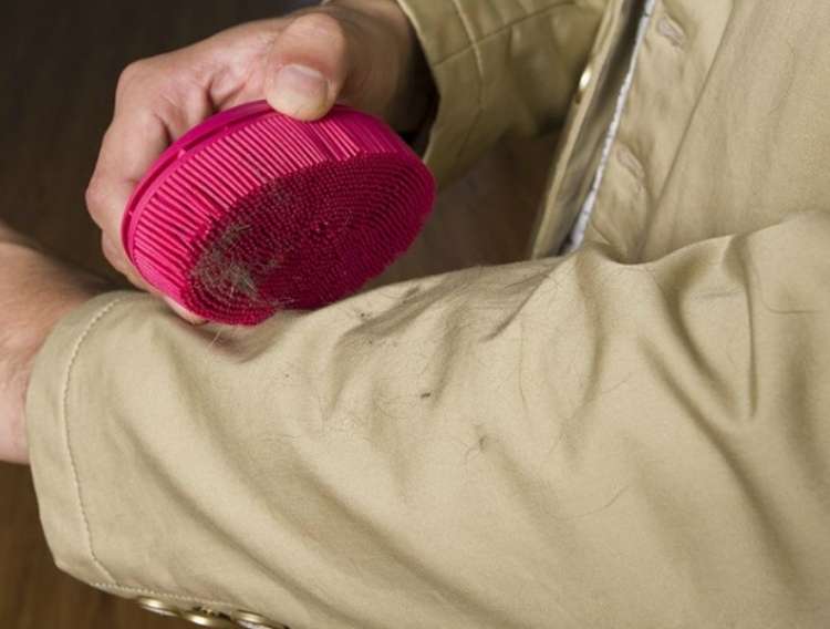 Rubber lint brush: rubbing rubber lint brush down arm to remove pet hair