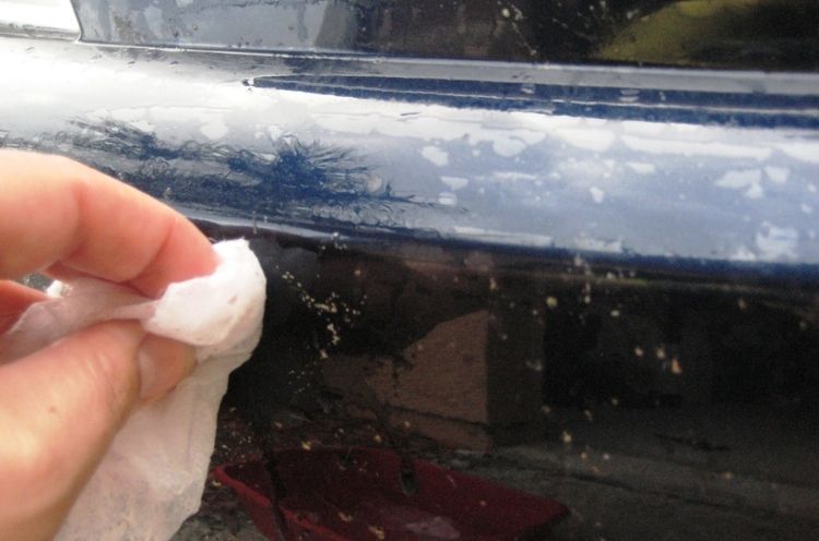Use a dryer sheet to rub off all those bugs stuck to your car bumper.