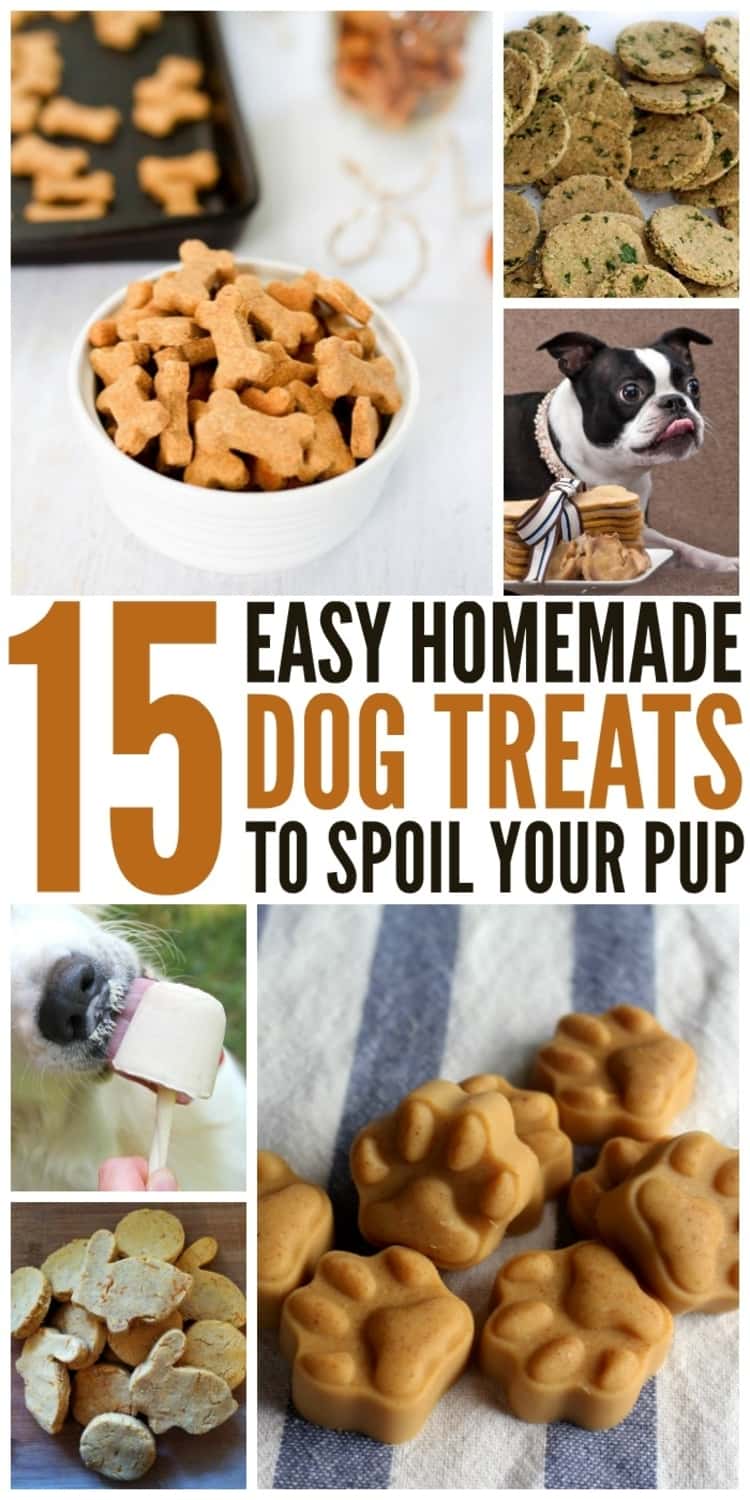 15 Easy Homemade Dog Treats To Spoil Your Pup