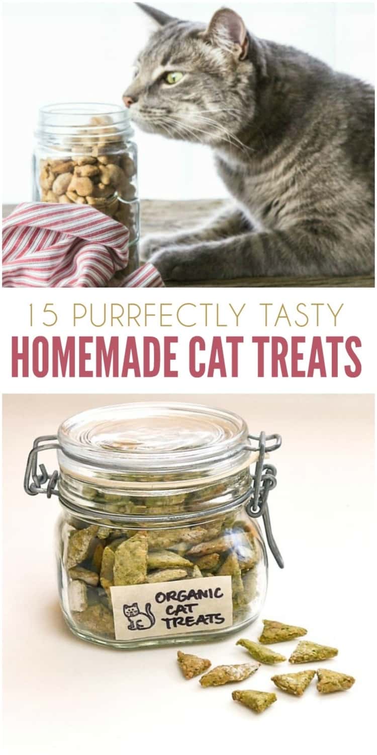 15 homemade cat treat ideas - collage image of a cat sniffing a jar of homemade treats, and a closeup image of organic cat treats