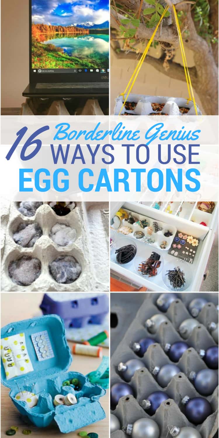 6-photo collage of ways to use egg cartons - a laptop placed on egg carton, egg carton in use as a hanging bird feeder, egg carton stuffed with dryer lint and wax for use as a fire starter, as a jewelry organizer, as a sewing kit, and as storage for Christmas ornaments.