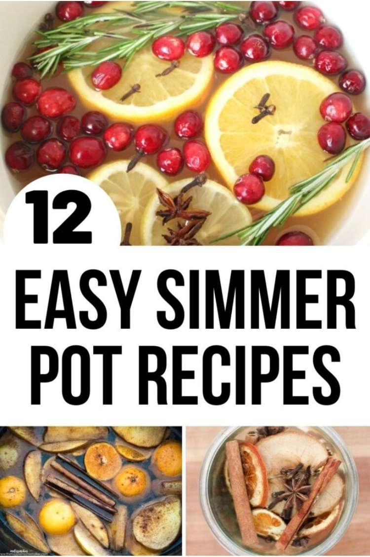 100 Mini Simmer Pot Recipes, Ideas, and Information