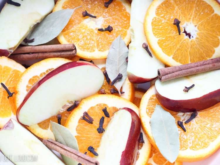 apple and orange slices, whole cloves