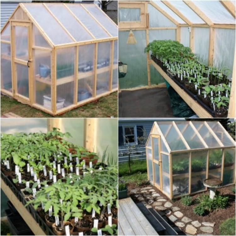  Shed turned into garden greenhouse by removing all the material down to the frame and recovering in plastic.