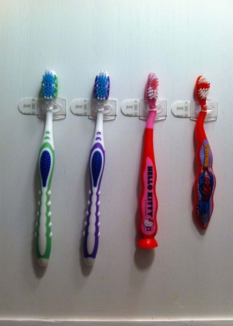 clear clips holding toothbrushes
