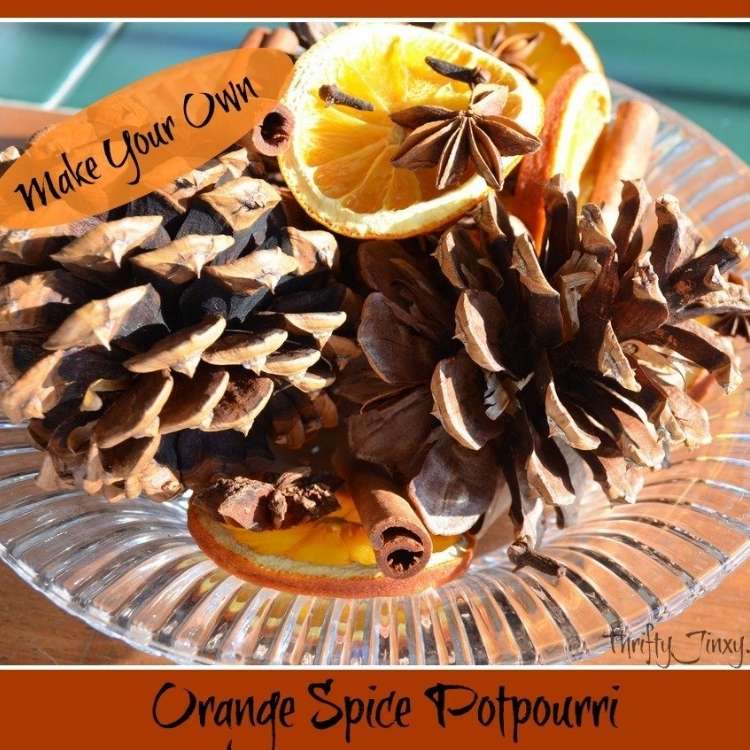 pine cones and orange slices