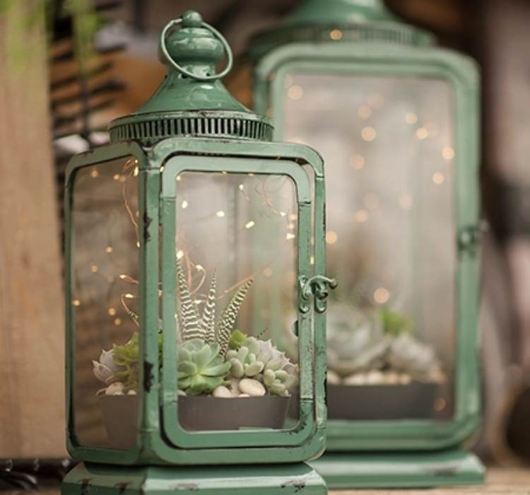 Picture of Magical Succulent Lantern