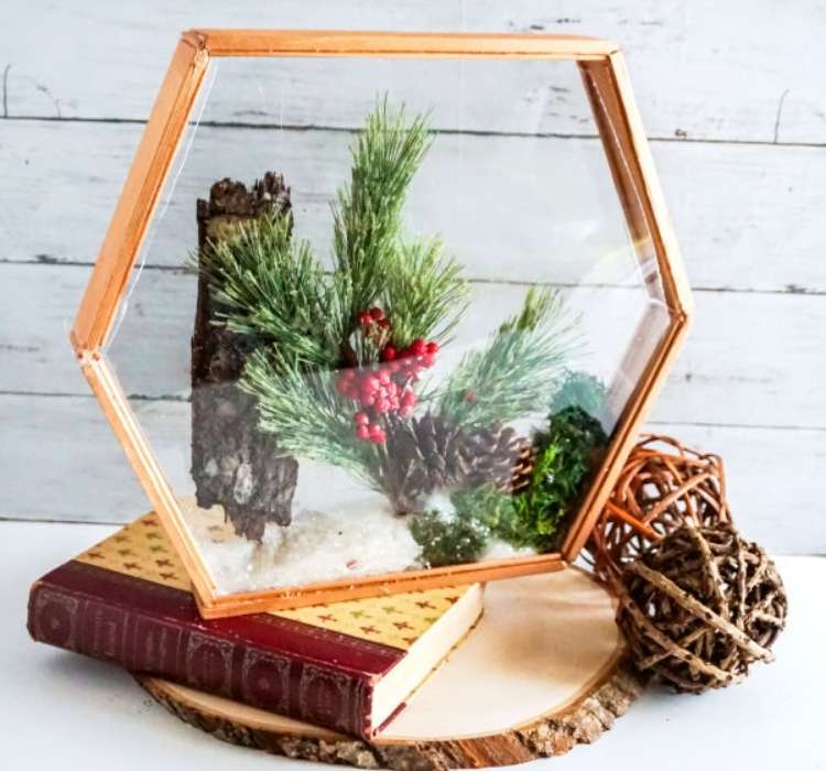 Picture of Suncatcher Terrarium