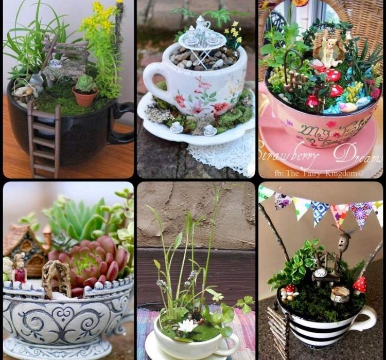 Collage of teacup mini-gardens