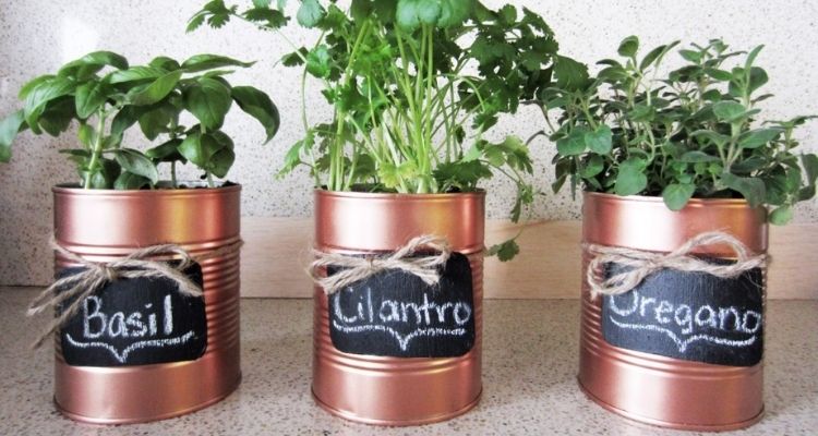 tin can herb planters