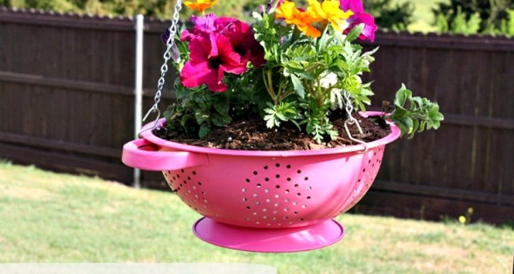 Pink Colander hanging planter