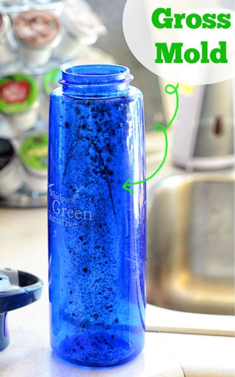 Moldy water bottle