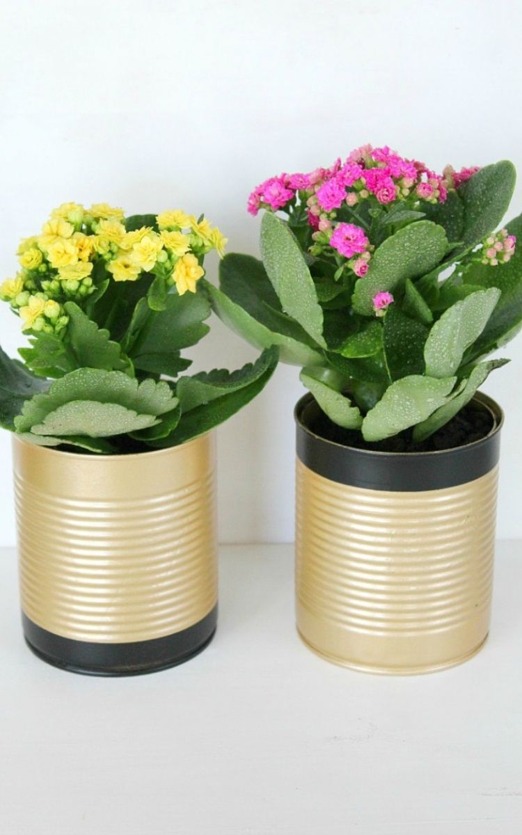 Gold spray painted cans for flower pots