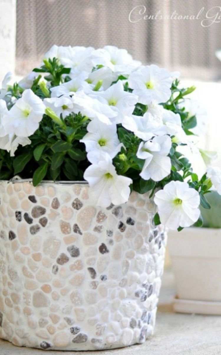 Rock covered bucket flower pot