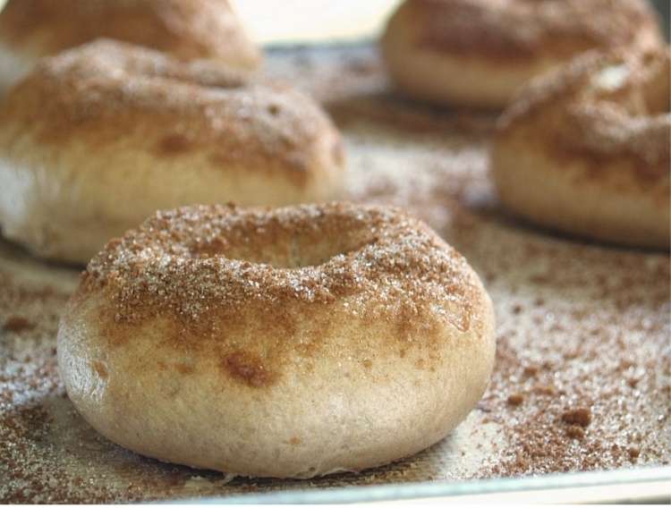 Panara Cinnamon Crunch Bagel