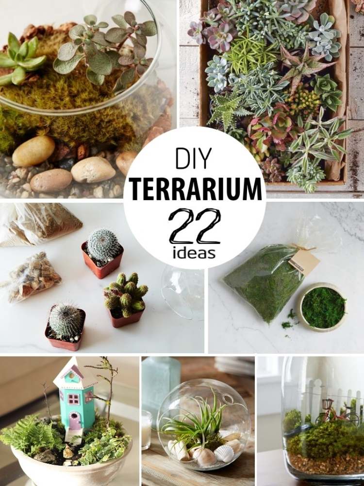 Collage of 22 DIY Terrariums