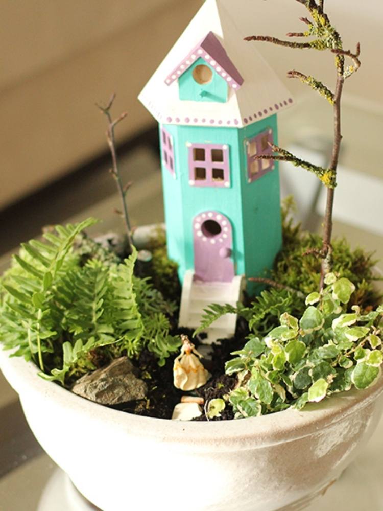 Picture of fairy garden