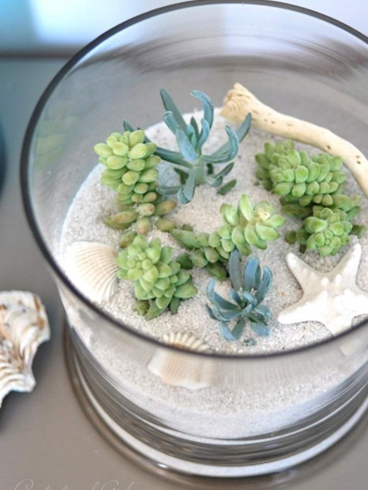 Picture of beach themed terrarium