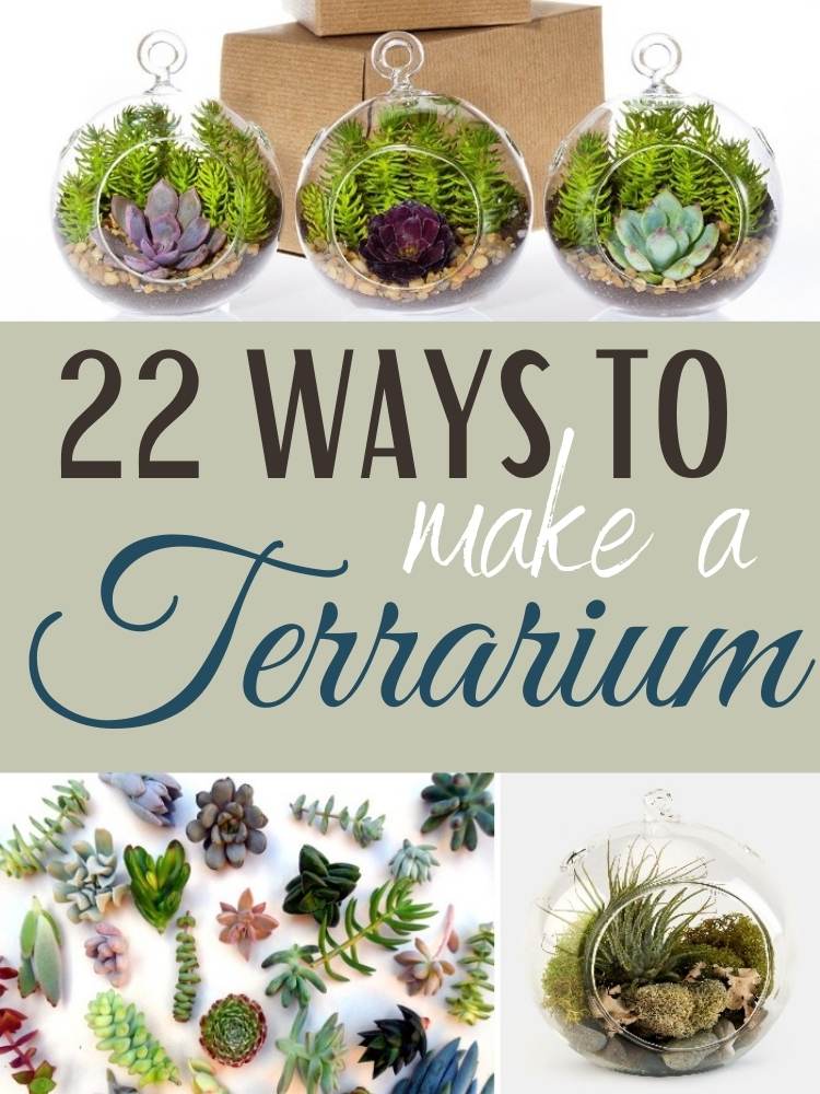 Collage of various terrariums 