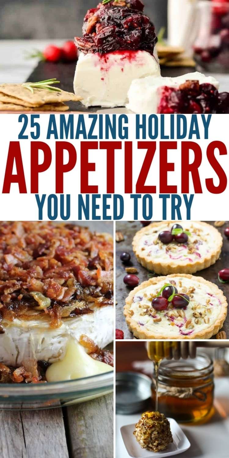 OneCrazyHouse Holiday Appetizers Title Photo Collage, goat cheese and cranberry sauce log, baked brie topped with bacon and caramalized onions, 