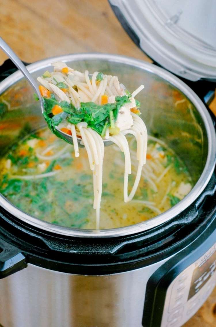 40+ Instant Pot Dinners to Feed Your Family in a Flash
