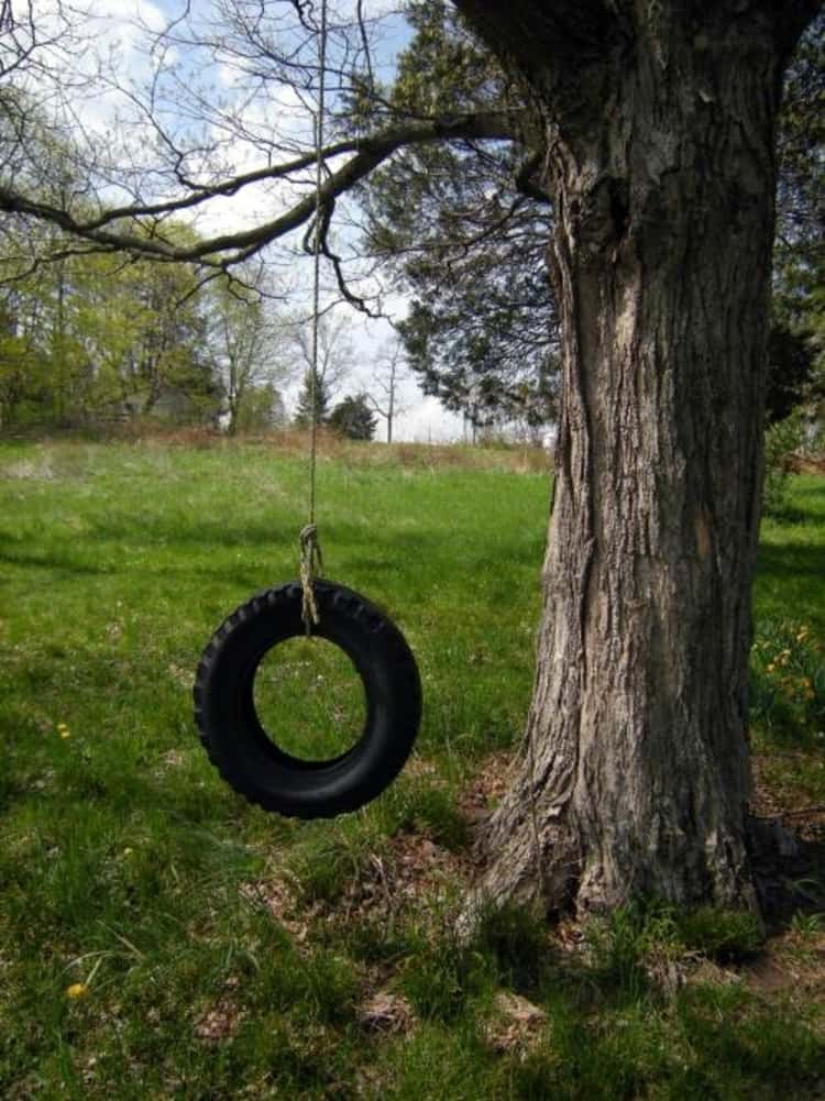 Tire swing from a sturdy branch