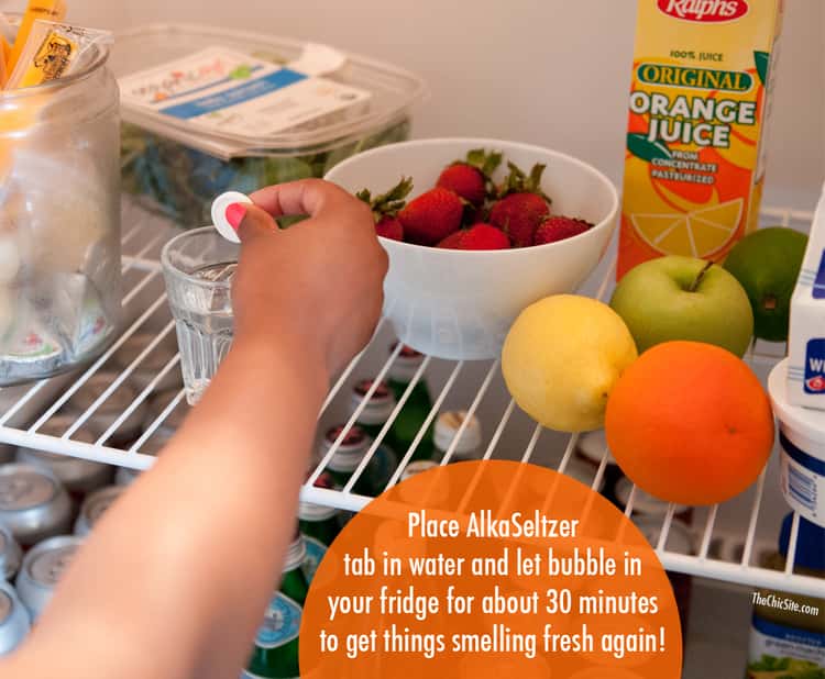 An alka-seltzer tablet being dropped in a glass of water placed on a refrigerator rack to deodorize the fridge