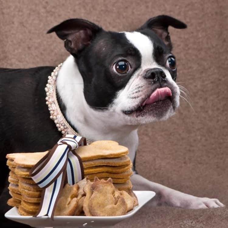 Carrot cookies for your pup