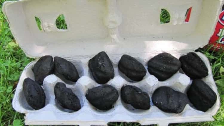 Egg carton filled with charcoal briquettes to start up grill