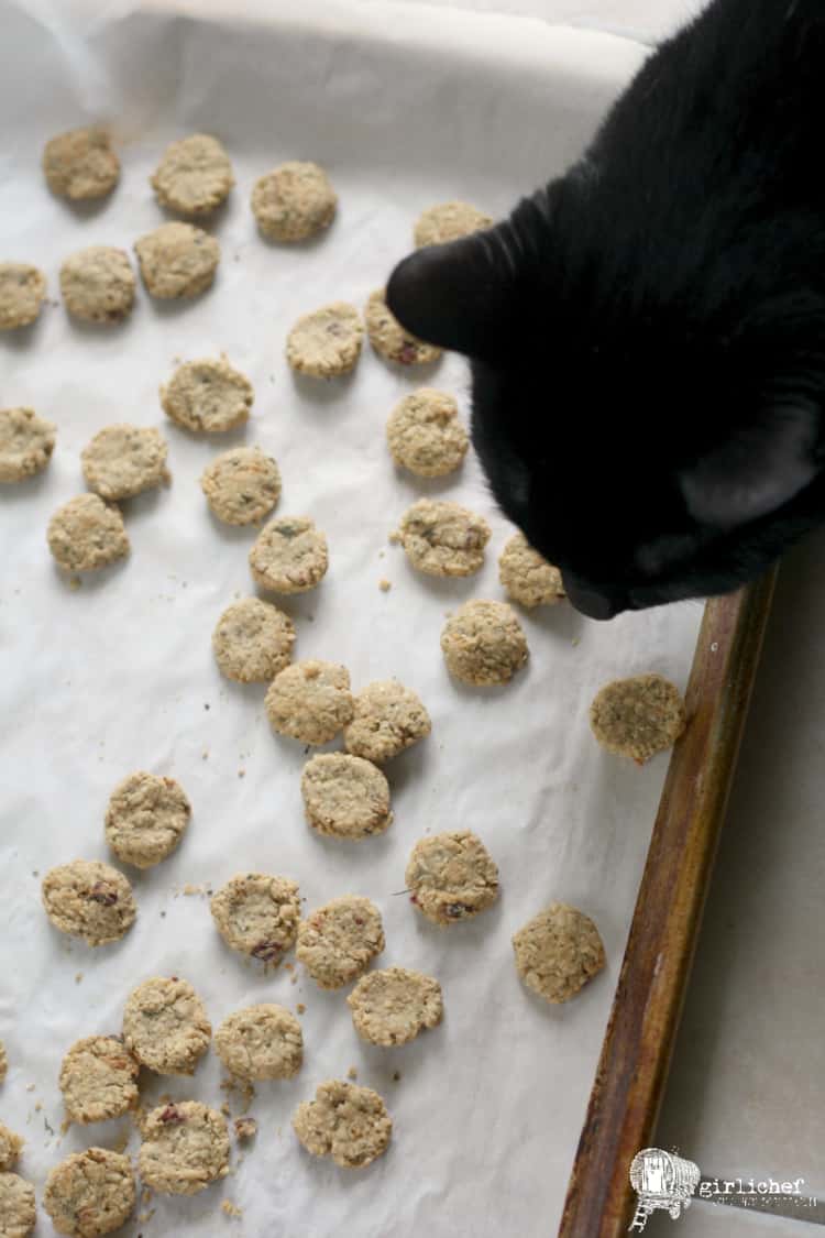 a black cat standing over a baking tray covered in homemade chicken and cranberry cat treats