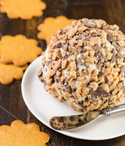 Chocolate chip cheese ball on a small round plate.