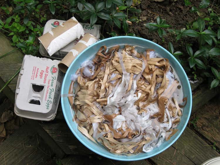 Shredded cardboard egg cartons in a bin for use as composting 