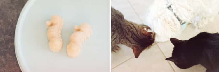 a collage image of a homemade frozen tuna cat treat and another image of two cats eating them