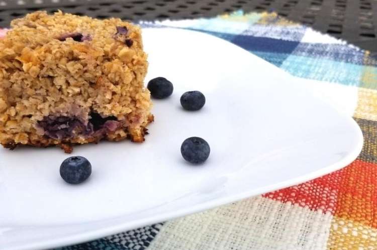 Plate with oatmeal bite and fresh blueberries on colorful blanket