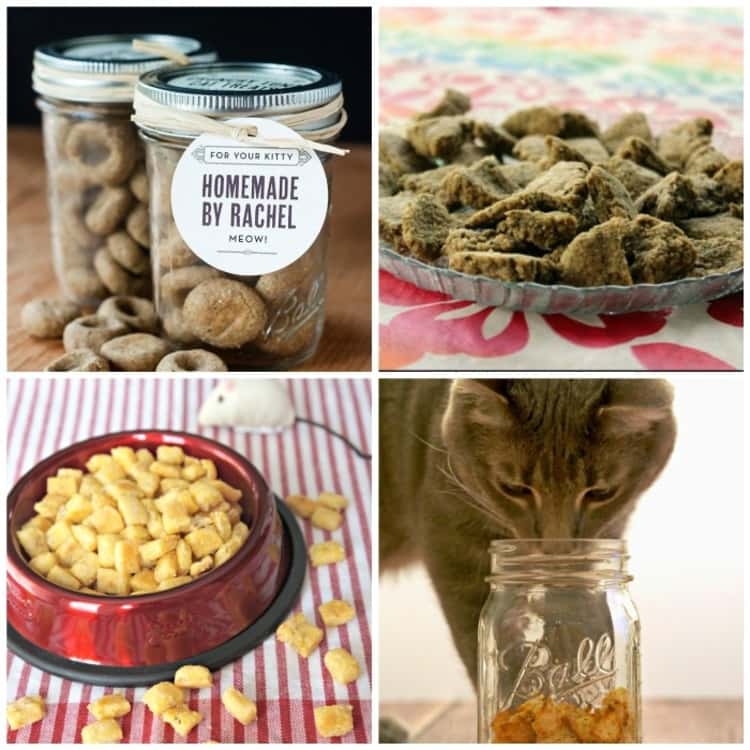 a collage of four images of homemade cat treats