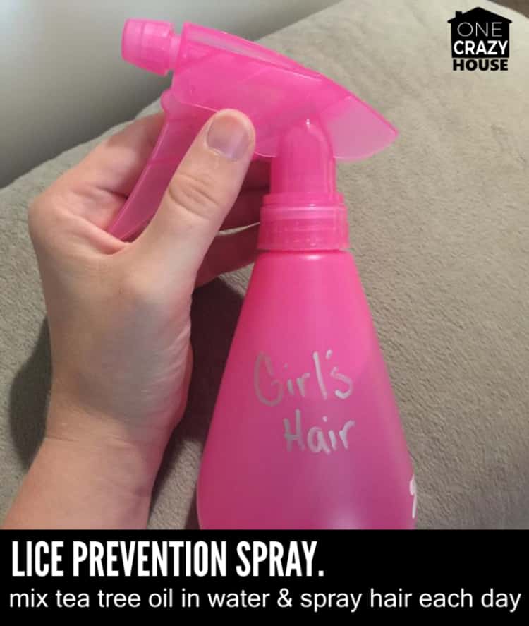 pink spray bottle of Lice Prevention Spray. Mix tea tree oil in water & spray hair each day labeled 'Girl's Hair'