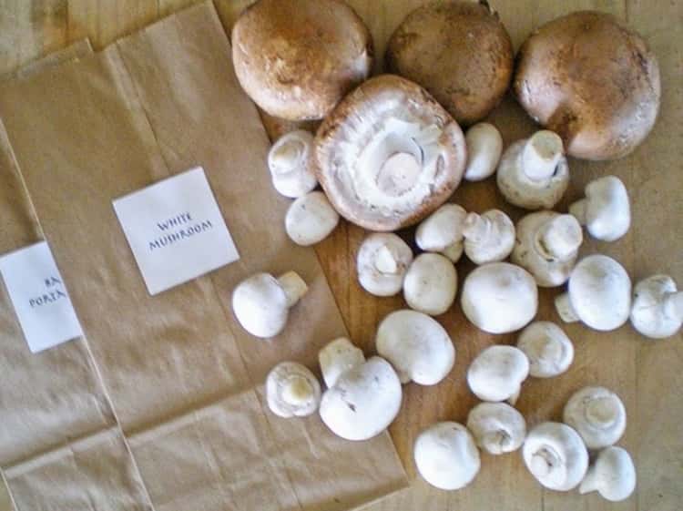 Mushrooms stay fresh for longer in paper bags