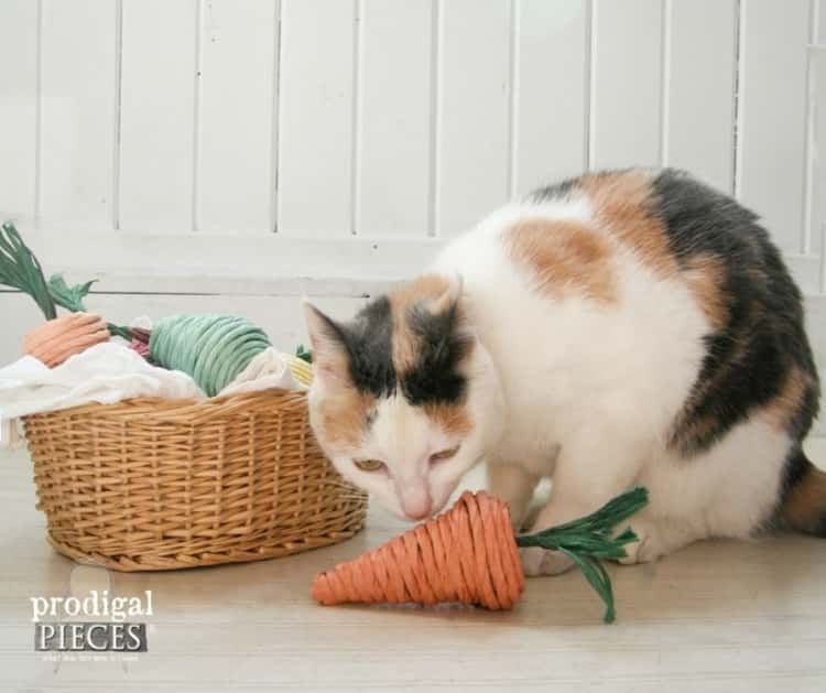 brinquedos fácil de fazer para felinos