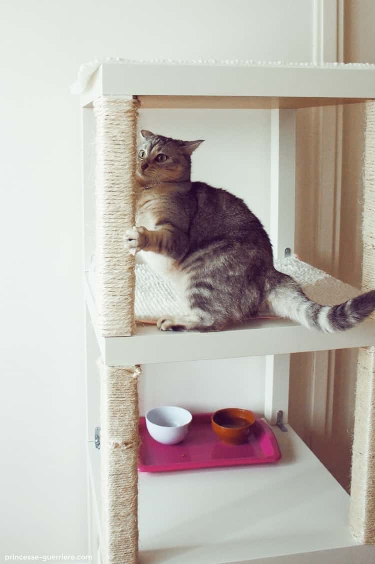 Amazing pet hacks! A photo of table legs wrapped in sisal fiber to act as a scratching post for cats. In it is a cat scratching the DIY scratching board