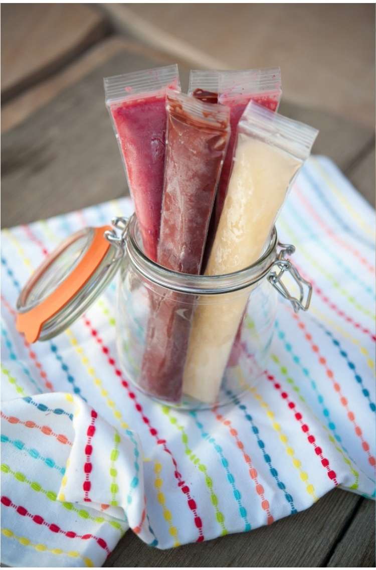 Portable Homemade DIY Healthy Popsicles