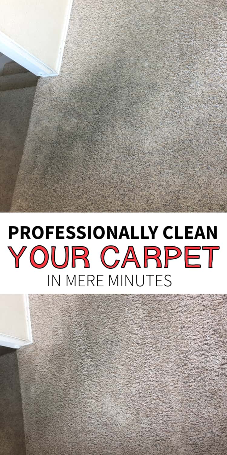 How to clean shop disgusting carpet