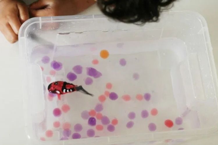 sensory play Robo Fish