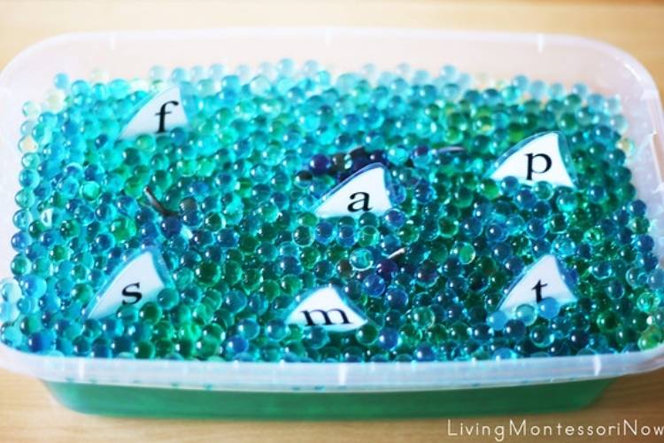 Shark Water Bead Sensory Bin