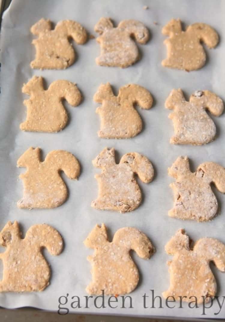 Squirrel shaped cookies