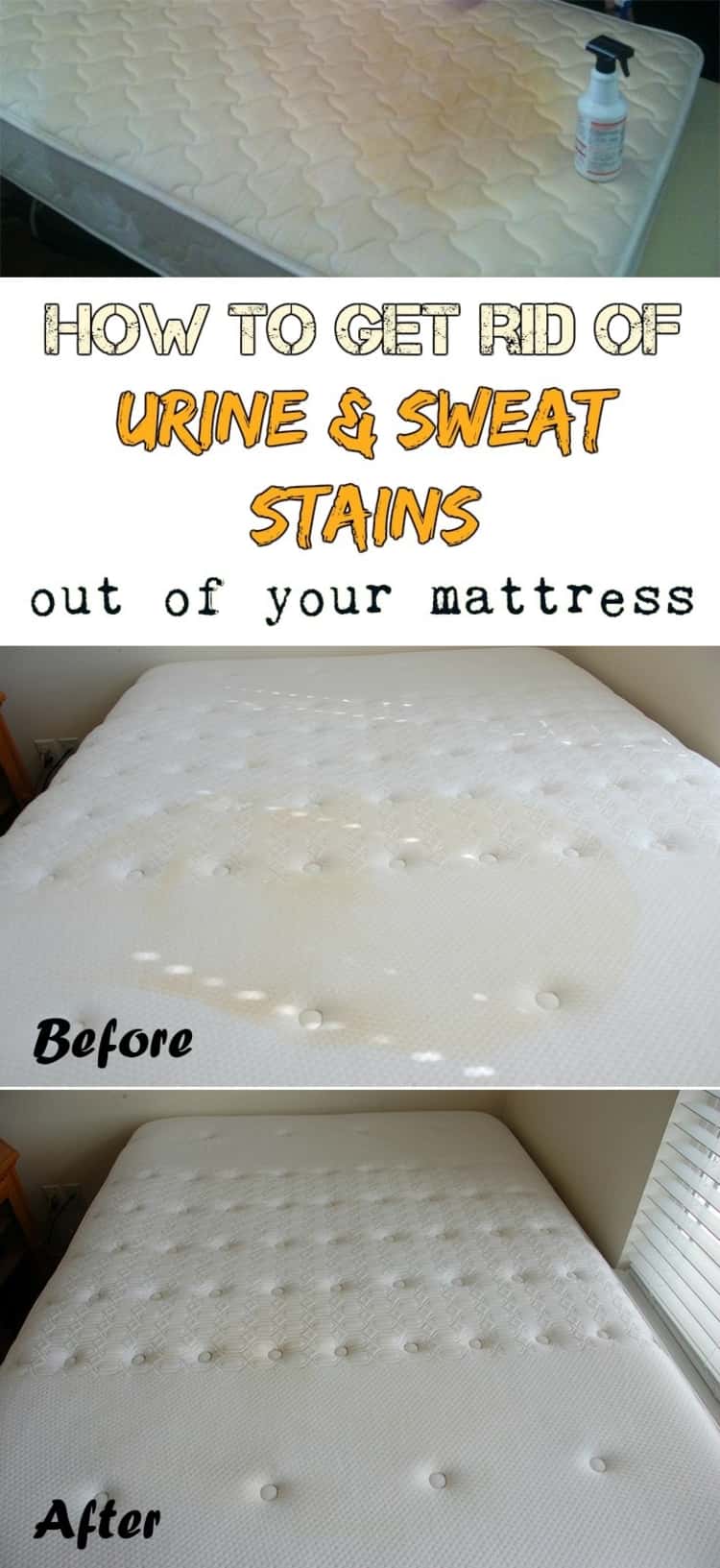 stain removal - before & after photo collage of HOW TO GET RID OF URINE & SWEAT STAINS out of your mattress