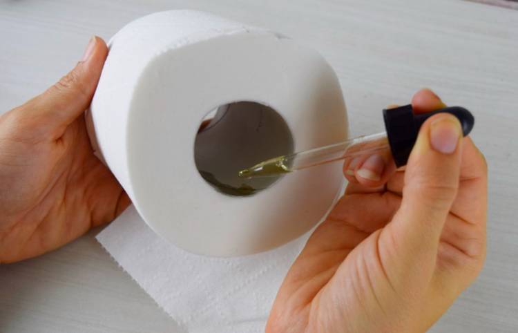 Genius essential oils tips and tricks - image of an essential oil dropper used to apply oil to the inside of a toilet paper roll