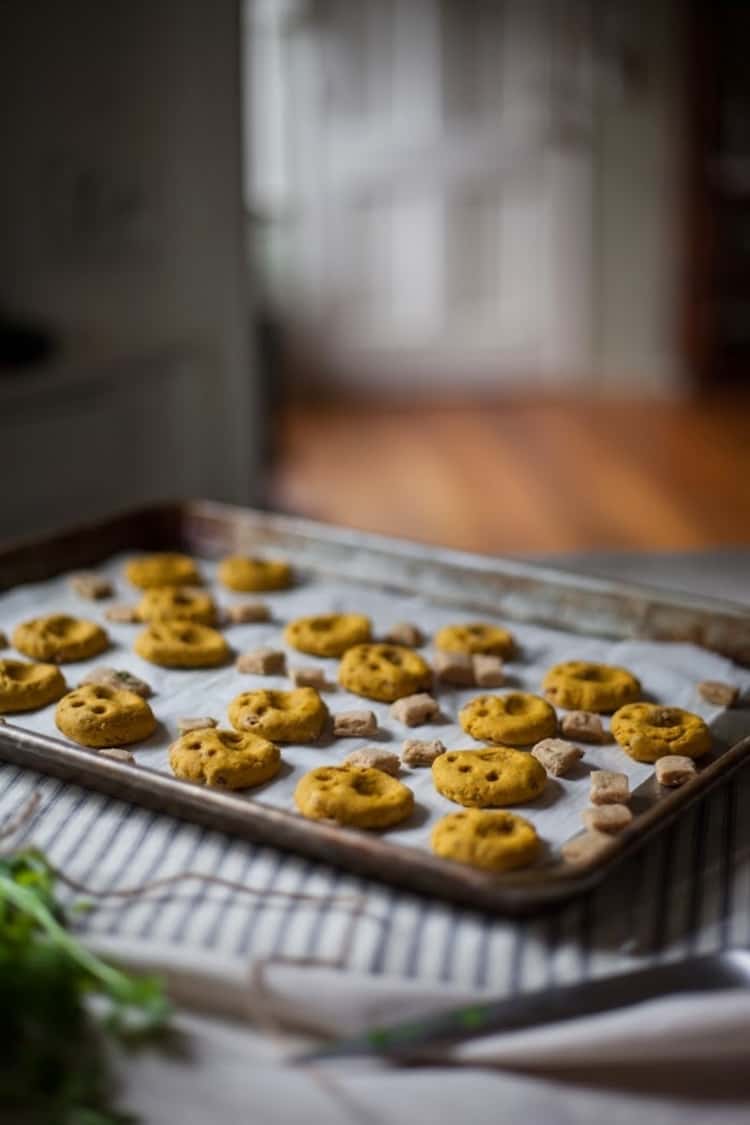 a baking tray of tuna cheddar crispy homemade cat treats