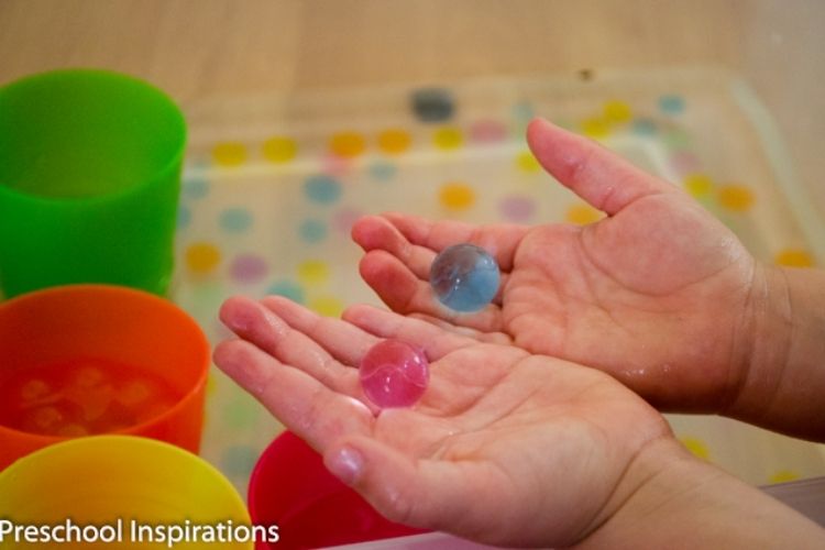 Water Bead Sorting Activity